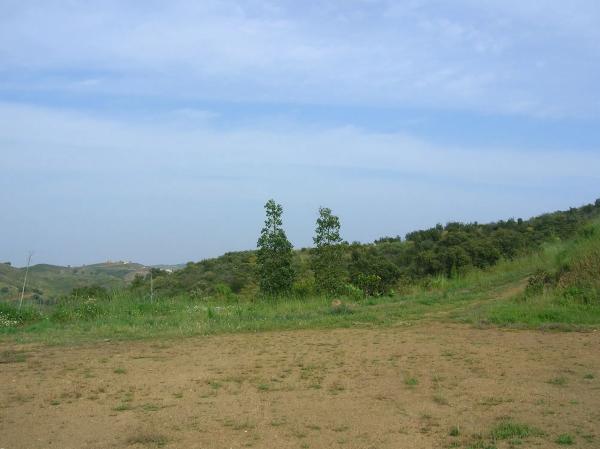 Terreno en poligono 11