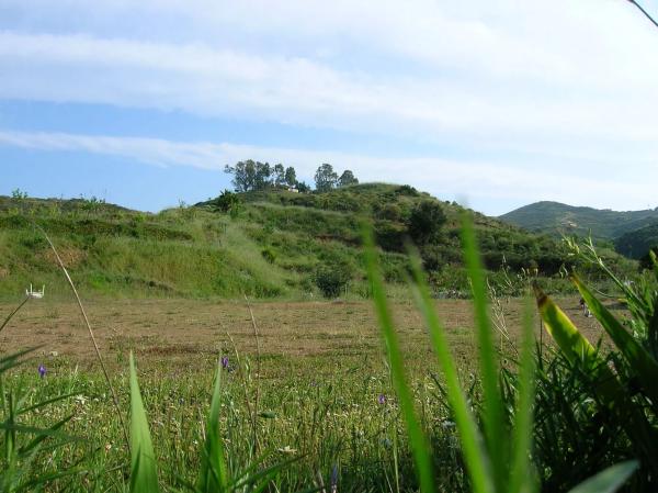 Terreno en poligono 11