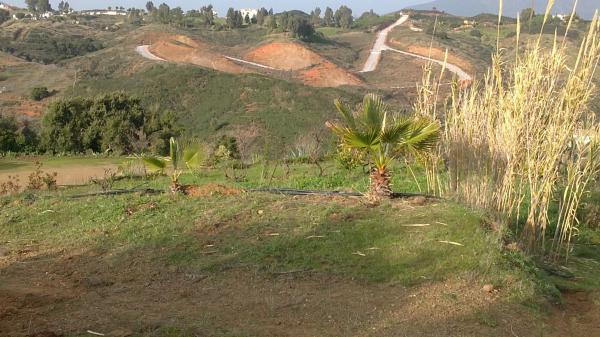 Terreno en poligono 11