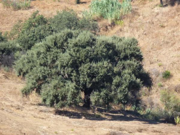 Terreno en poligono 11