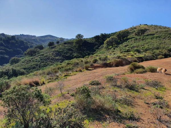 Terreno en La Cala de Mijas