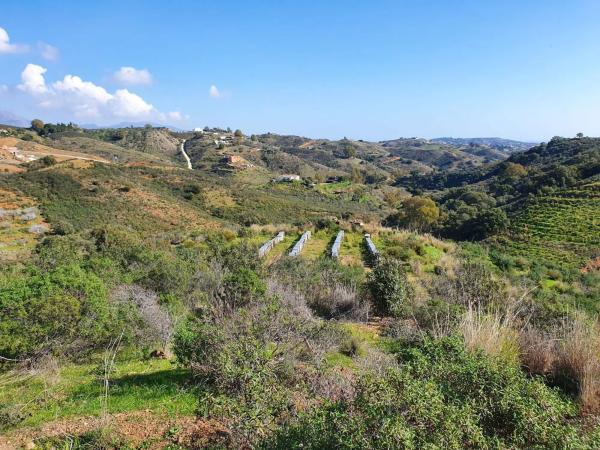 Terreno en La Cala de Mijas
