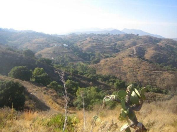 Terreno en La Cala de Mijas