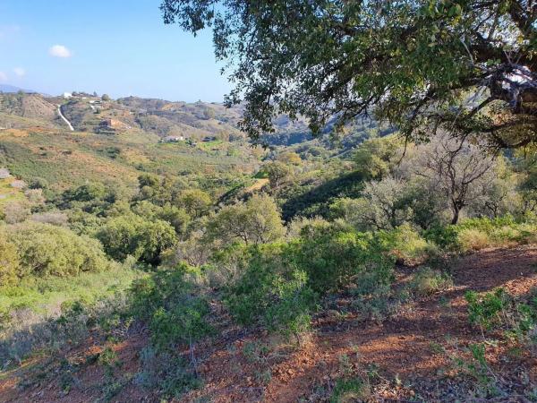 Terreno en La Cala de Mijas
