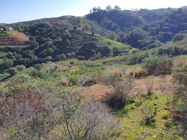 Terreno en La Cala de Mijas