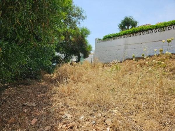Terreno en carretera de Cádiz s/n