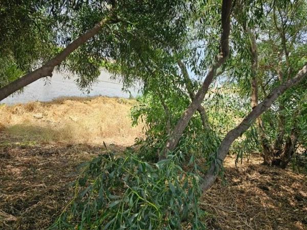 Terreno en carretera de Cádiz s/n