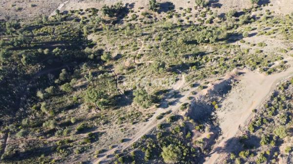 Terreno en La Majadilla del Muerto