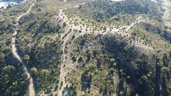Terreno en La Majadilla del Muerto
