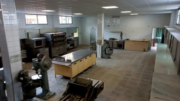 Terreno en calle Gladiolos