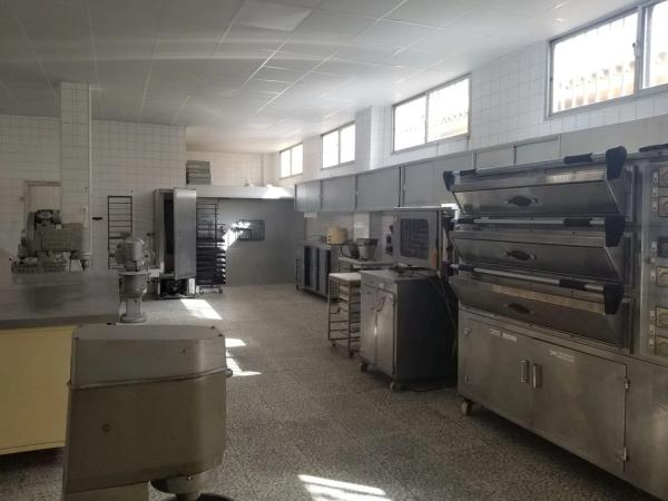 Terreno en calle Gladiolos