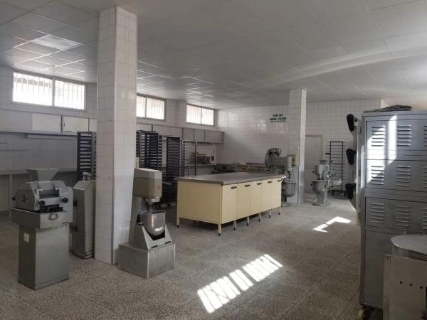 Terreno en calle Gladiolos