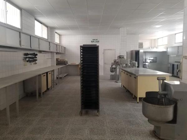 Terreno en calle Gladiolos