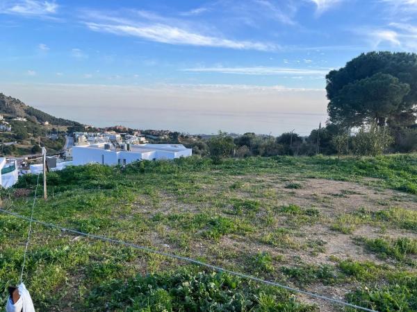 Terreno en calle Araucaria