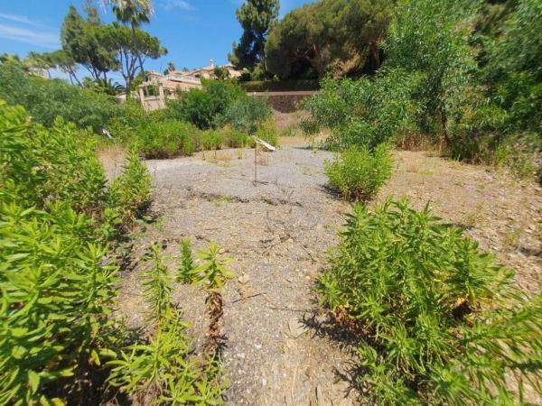 Terreno en avenida del Cortijo