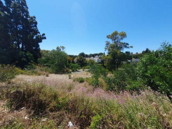 Terreno en avenida del Cortijo