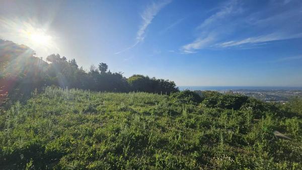 Terreno en via Sup S16 Alqueria, 1