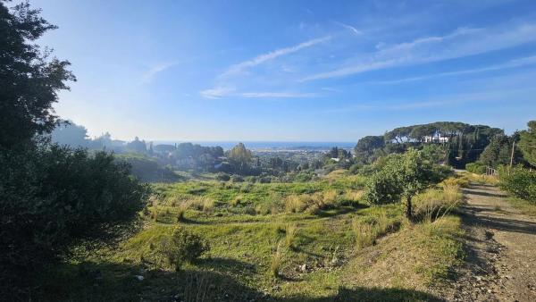 Terreno en via Sup S16 Alqueria, 1