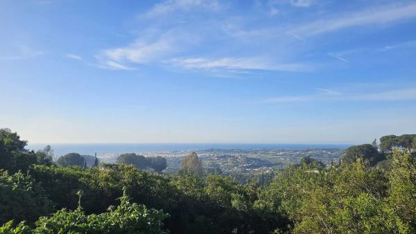 Terreno en via Sup S16 Alqueria, 1