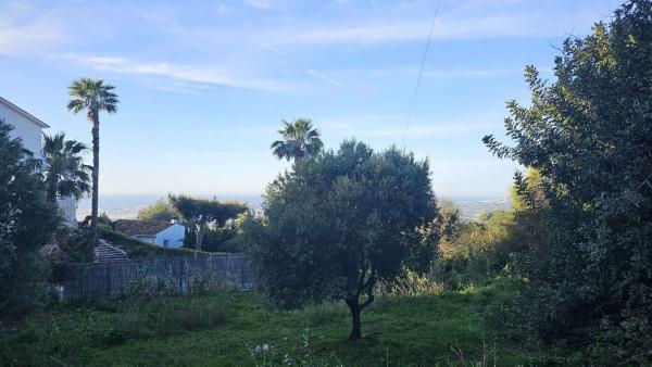 Terreno en via Sup S16 Alqueria, 1