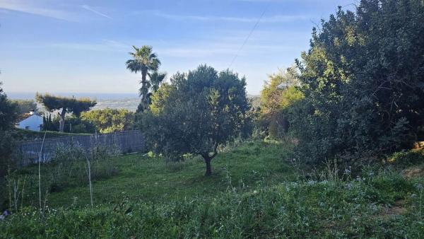 Terreno en via Sup S16 Alqueria, 1