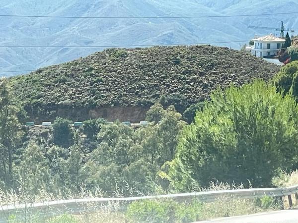 Terreno en camino de los Pilones