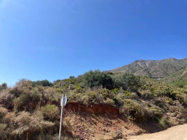 Terreno en camino de los Pilones