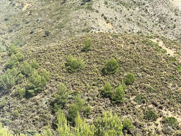 Terreno en camino de los Pilones