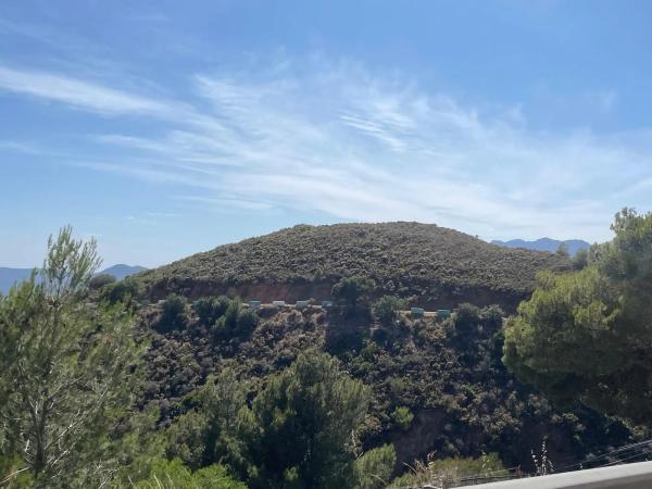 Terreno en camino de los Pilones