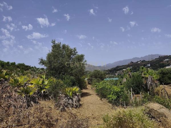 Terreno en camino Diseminado Entrerrios s/n