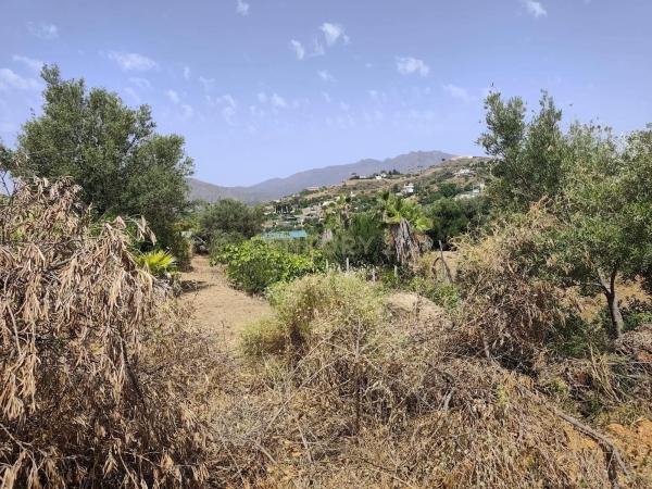 Terreno en camino Diseminado Entrerrios s/n