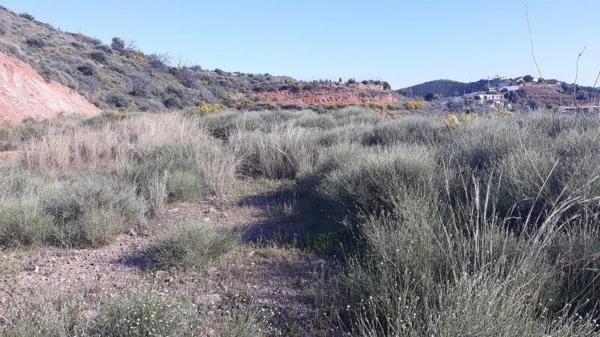 Terreno en Diseminado Atalaya, 77