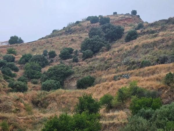 Terreno en camino de Valtocado
