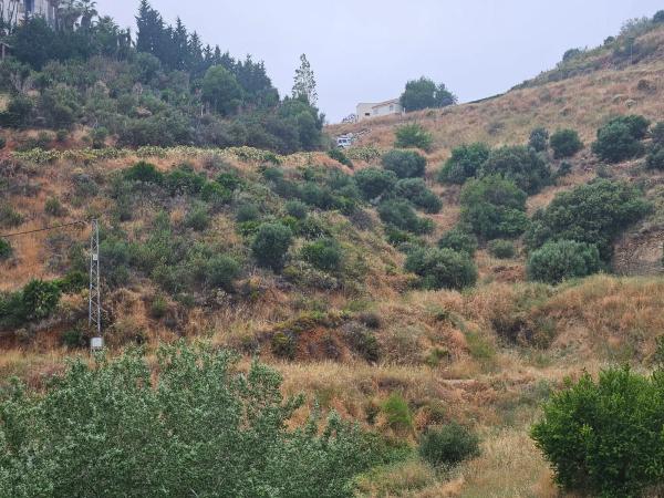 Terreno en camino de Valtocado
