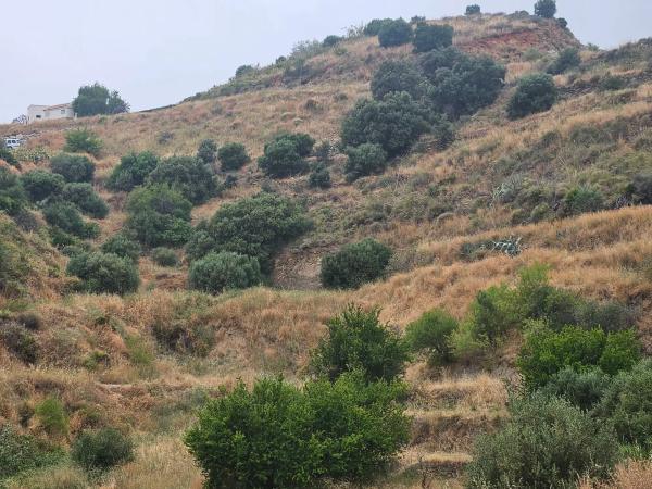 Terreno en camino de Valtocado