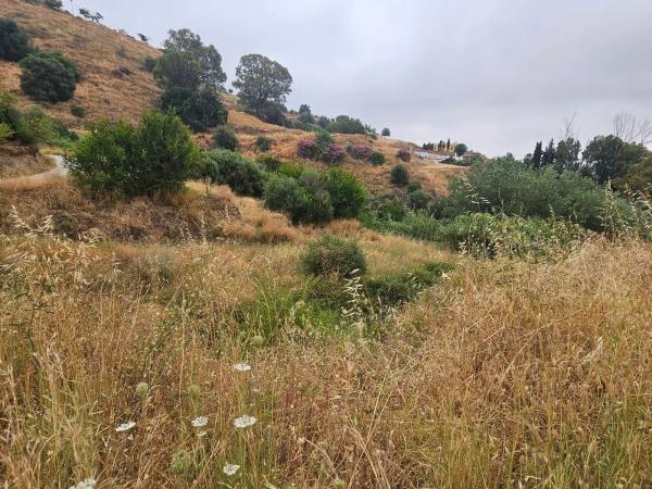Terreno en camino de Valtocado