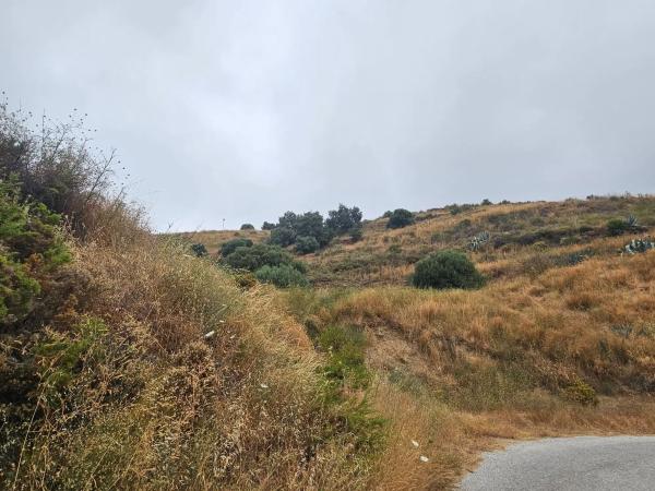 Terreno en camino de Valtocado