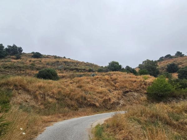 Terreno en camino de Valtocado
