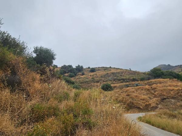 Terreno en camino de Valtocado