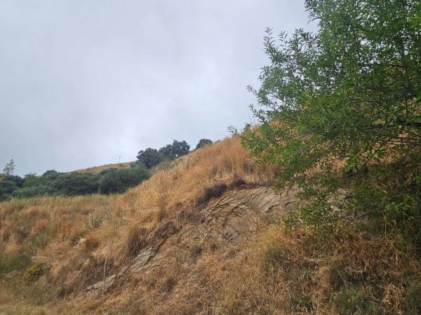 Terreno en camino de Valtocado