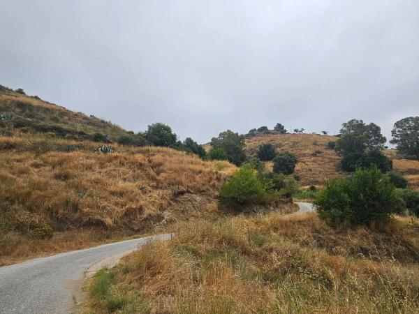 Terreno en camino de Valtocado