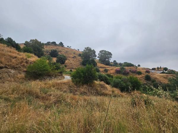 Terreno en camino de Valtocado
