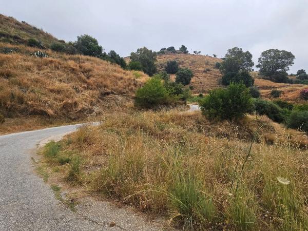 Terreno en camino de Valtocado
