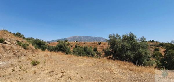Terreno en Valtocado - La Alquería - La Atalaya