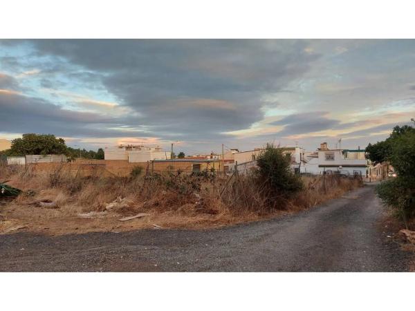Terreno en calle Bachiller Palma, 19