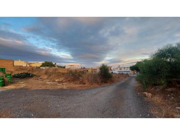 Terreno en calle Bachiller Palma, 19