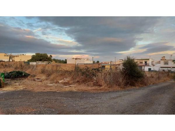 Terreno en calle Bachiller Palma, 19