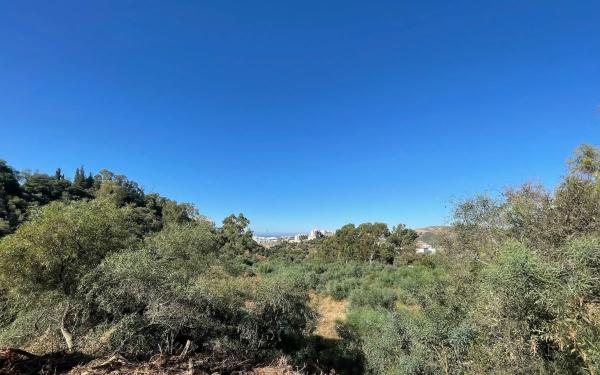 Terreno en calle Istán, 20