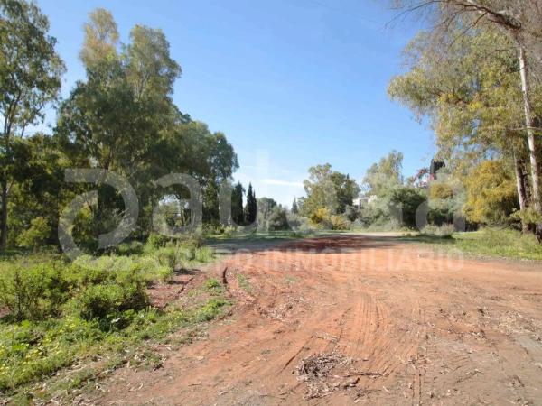 Terreno en Cerro Artola