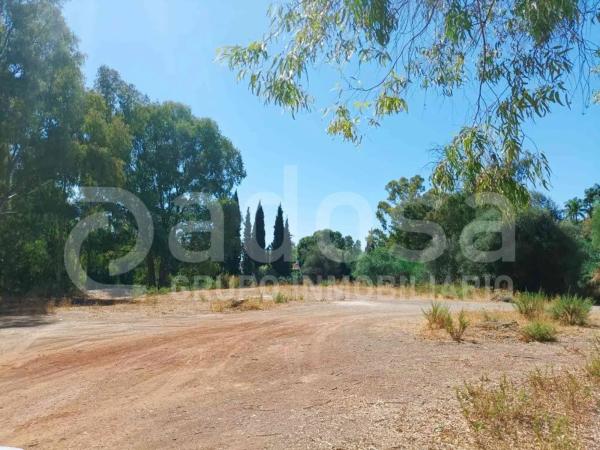 Terreno en Cerro Artola